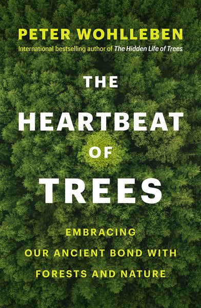 The Heartbeat of Trees Embracing Our Ancient Bond With Forests and Nature